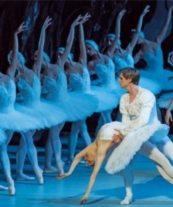 Swan Lake paint by numbers