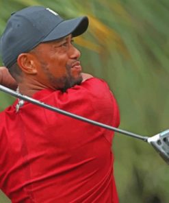 Tiger Woods Playing Golf Paint by numbers