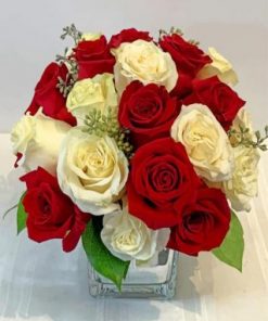 White And Red Roses Paint by numbers