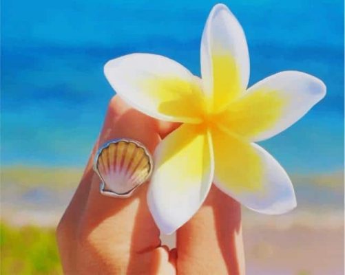 White And Yellow Frangipani Flower paint by numbers