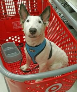 White Bull Terrier paint by numbers