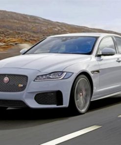 White Jaguar Car Paint by numbers