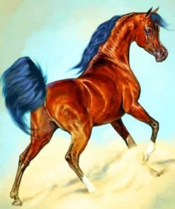 Wild Arabian Horse - Paint By Numbers