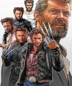 Wolverine Hero Paint by numbers