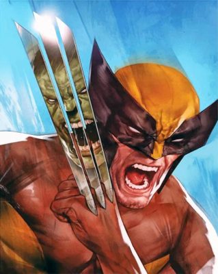 Wolverine Illustration Paint by numbers