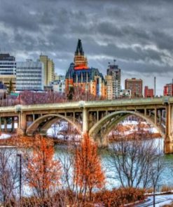 Saskatoon Paint by numbers