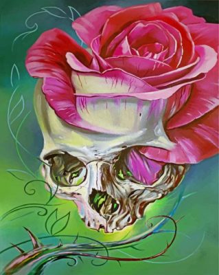 Abstract Floral Skull Paint by numbers