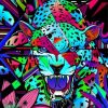 Abstract Mad Tiger Paint by numbers