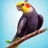 Aesthetic Cockatiel Bird Paint by numbers