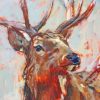Aesthetic Abstract Deer Paint by numbers