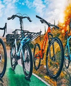 Aesthetic Bikes Paint by numbers