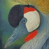 Aesthetic Bird Paint by numbers