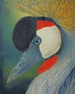 Aesthetic Bird Paint by numbers