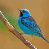 Aesthetic Blue Bird Paint by numbers