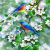Aesthetic Blue Birds Paint by numbers