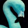 Aesthetic Blue Flamingo paint by numbers