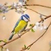 Aesthetic Blue Tit Paint by numbers