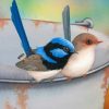 Aesthetic Blue Wren And Brown Bird Paint by numbers