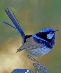 Aesthetic Blue Wren Paint by numbers