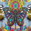 Aesthetic Bohemian Butterfly Paint by numbers