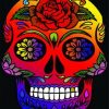 Aesthetic Candy Skull Paint by numbers