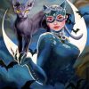 Aesthetic Catwoman Paint by numbers