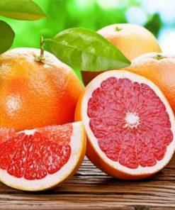Aesthetic Citrus Paint by number