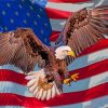 Aesthetic Eagle And Flag Paint by numbers