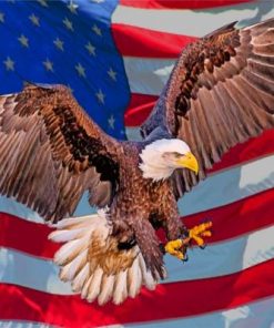 Aesthetic Eagle And Flag Paint by numbers