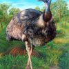 Aesthetic Emu paint by numbers