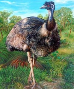 Aesthetic Emu paint by numbers