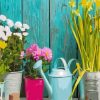 Aesthetic Flowers Paint by numbers
