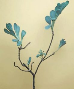Aesthetic Ginko Paint by numbers