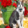 Aesthetic Grey Cat Paint by numbers