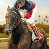 Aesthetic Horse Race Paint by numbers