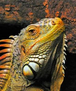 Aesthetic Iguana Paint by numbers