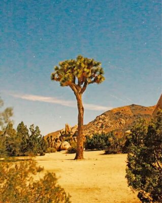 Aesthetic Joshua Trees Paint by numbers
