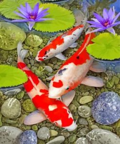 Aesthetic Koi Fish Paint by numbers