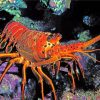 Aesthetic Lobster Paint by numbers