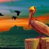 Aesthetic Pelican Bird Paint by numbers