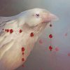 Aesthetic White Ravens Paint by numbers