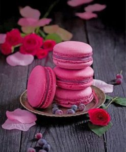 Aesthetic Macaroons Paint by numbers
