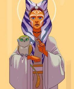 Ahsoka Tano Holding An Owl Paint by numbers