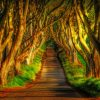 Aesthetic Woodland Paint by numbers