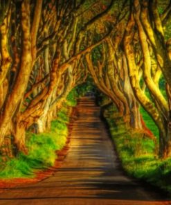 Aesthetic Woodland Paint by numbers