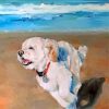 Bichon Frise Paint by numbers