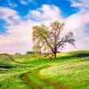 California Spring Paint by numbers