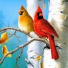 Cardinal Birds Paint by numbers