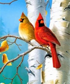Cardinal Birds Paint by numbers