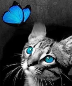 Cat And Butterfly paint by numbers